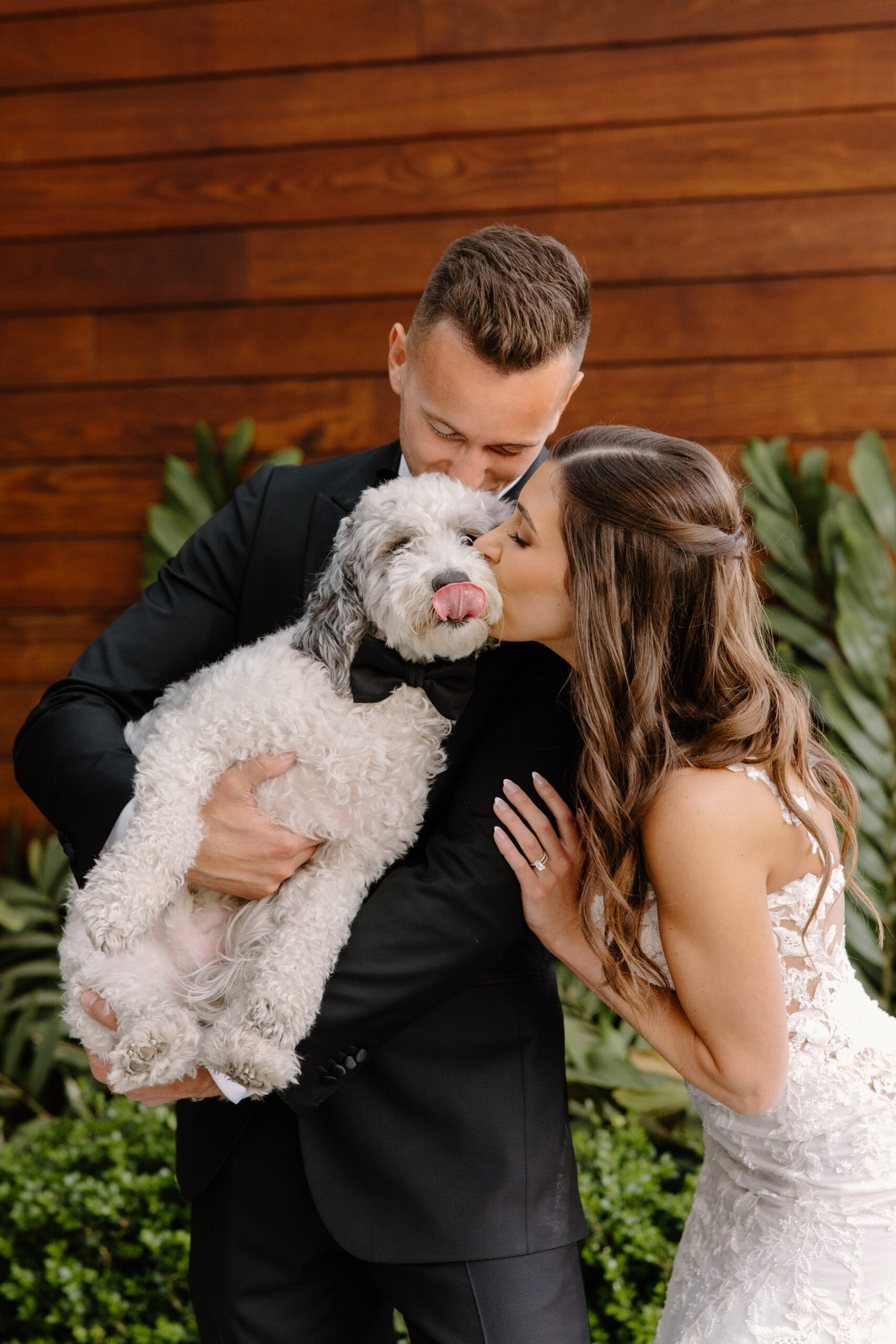 The couple shares a sweet moment with their dog dressed in a bow tie at Omni Montelucia, capturing a joyful family memory.