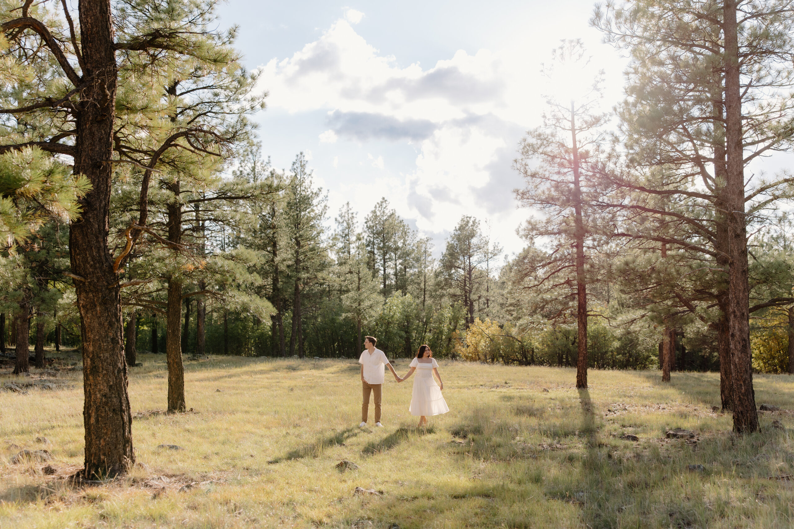 Wide shot of a couple holding hands in a golden meadow surrounded by tall pine trees and soft afternoon light.