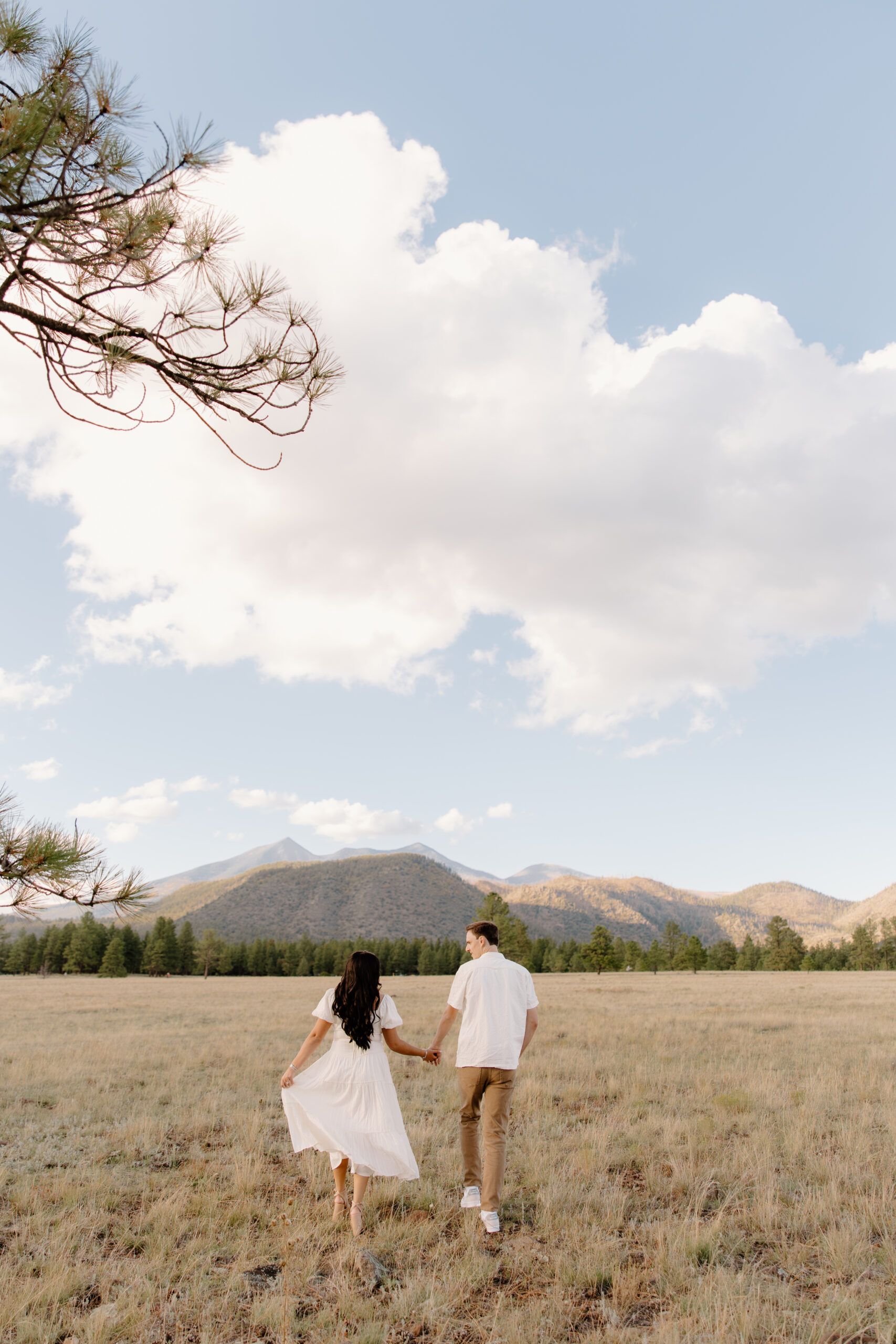 Couple holding hands while walking through an open meadow with mountain views and soft clouds overhead, capturing a quiet and romantic engagement moment.
