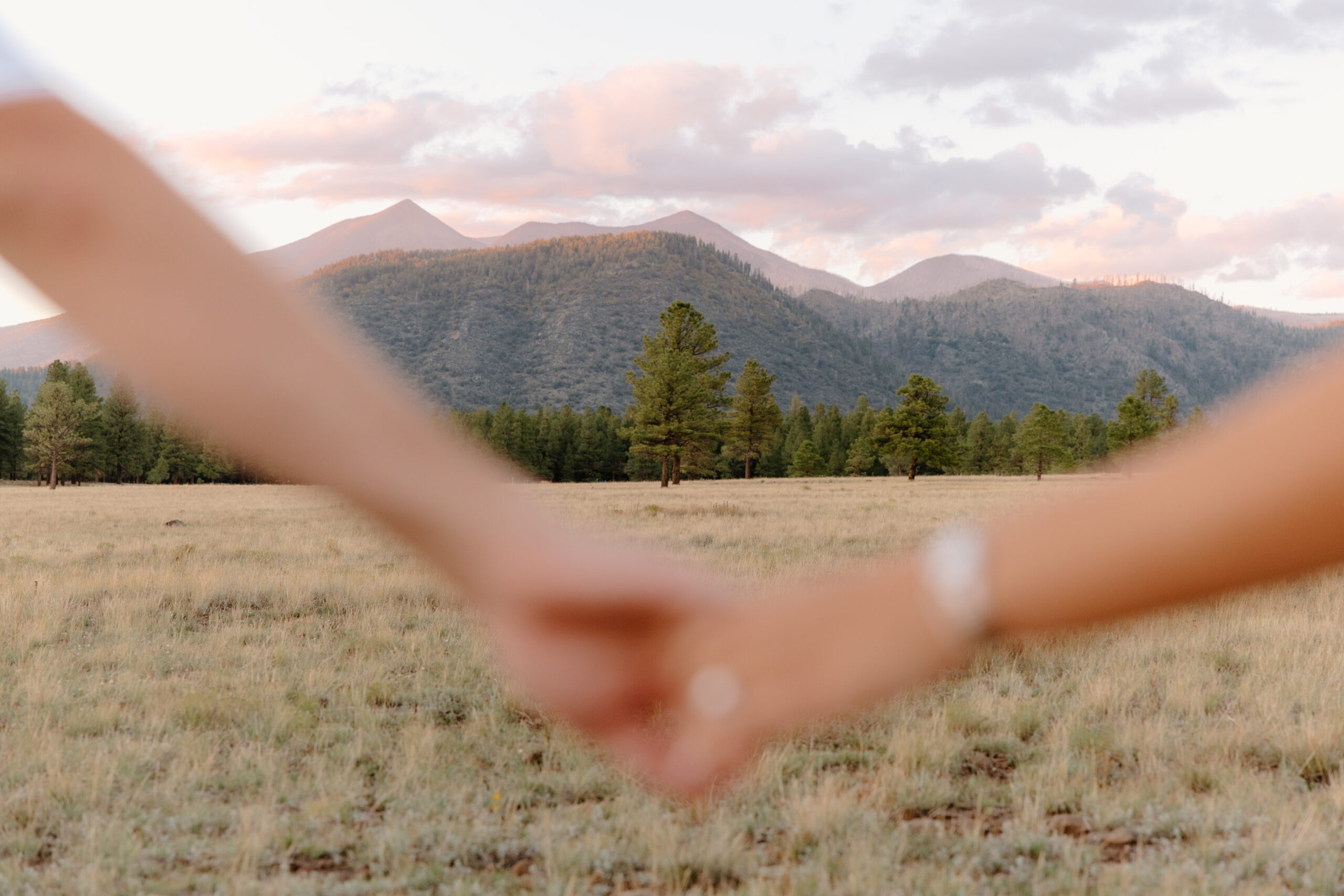 Artistic close-up of a couple holding hands with mountains and a sunset sky softly blurred in the background, capturing the emotion of an outdoor proposal.