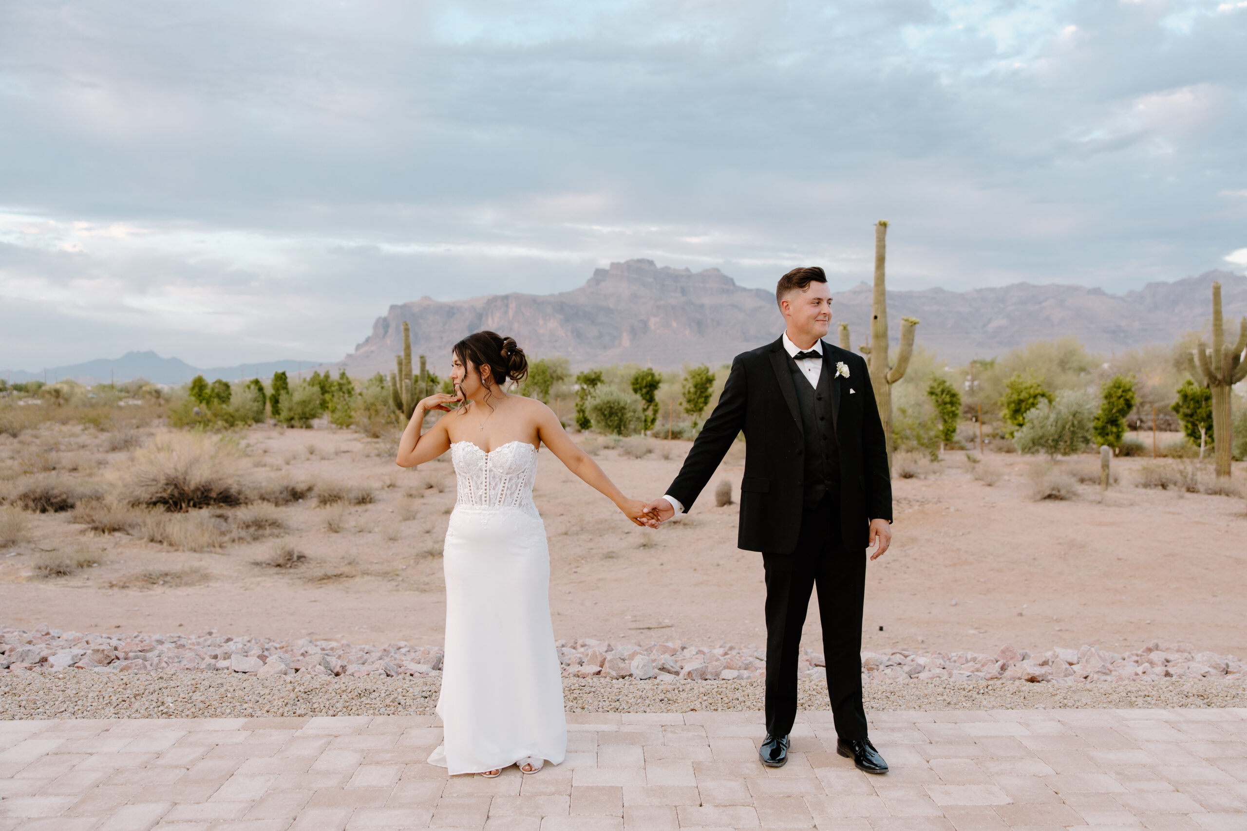 Bride and groom holding hands while facing opposite directions with the Superstition Mountains and desert landscape behind them during their Desert View wedding.