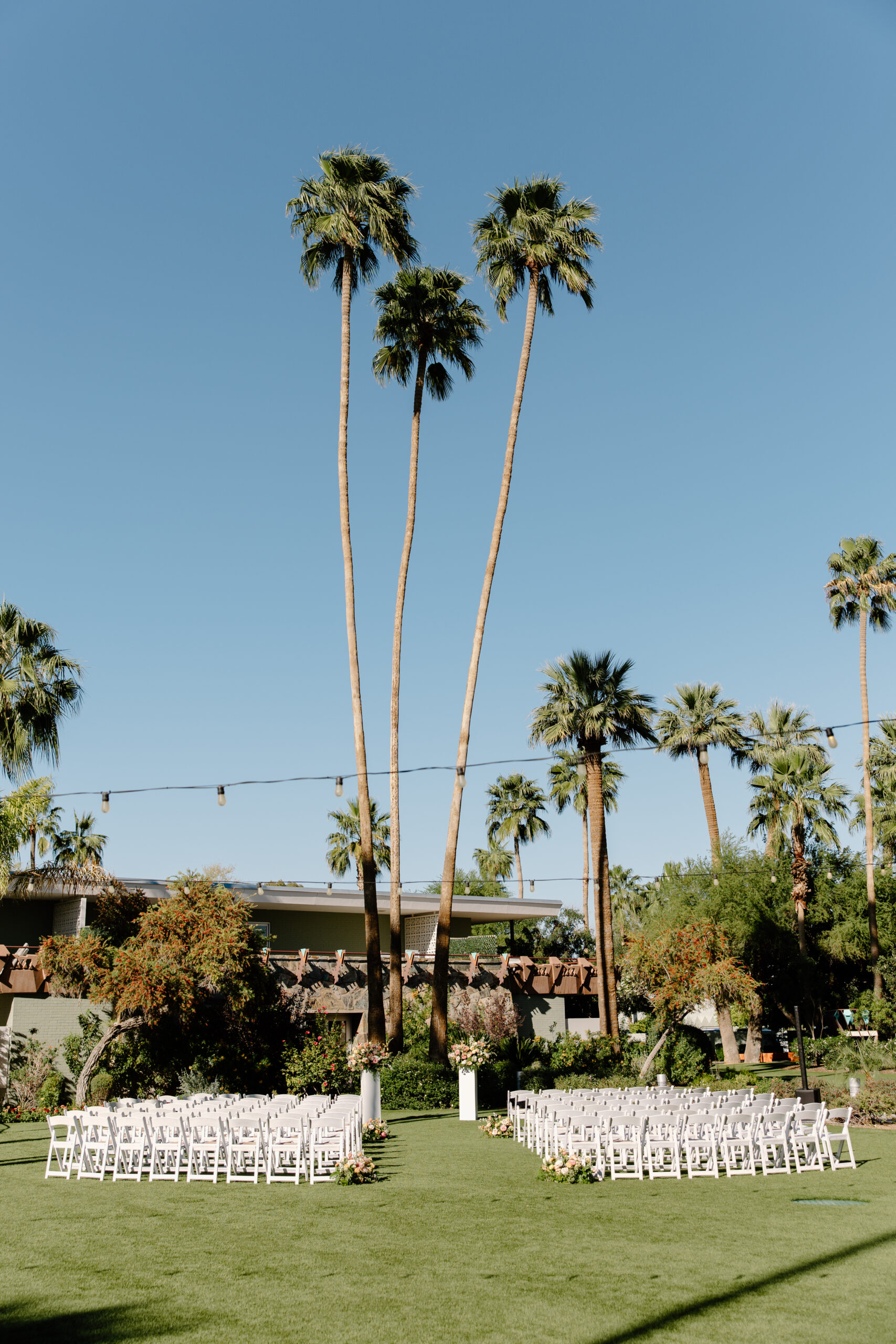 Outdoor ceremony space with rows of white chairs and tall palm trees under a clear blue sky