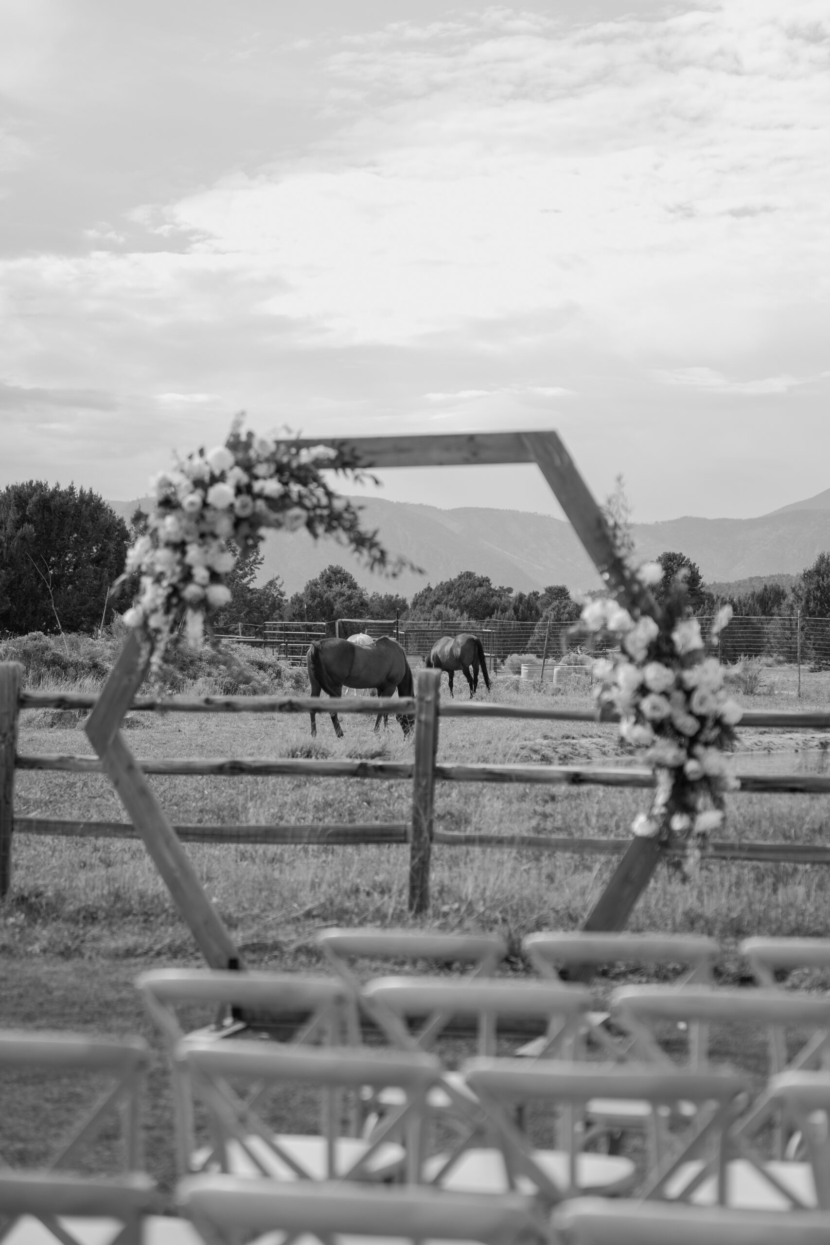 Black and white ceremony detail of the floral wedding arch with horses grazing in the background at The Sycamore, Flagstaff