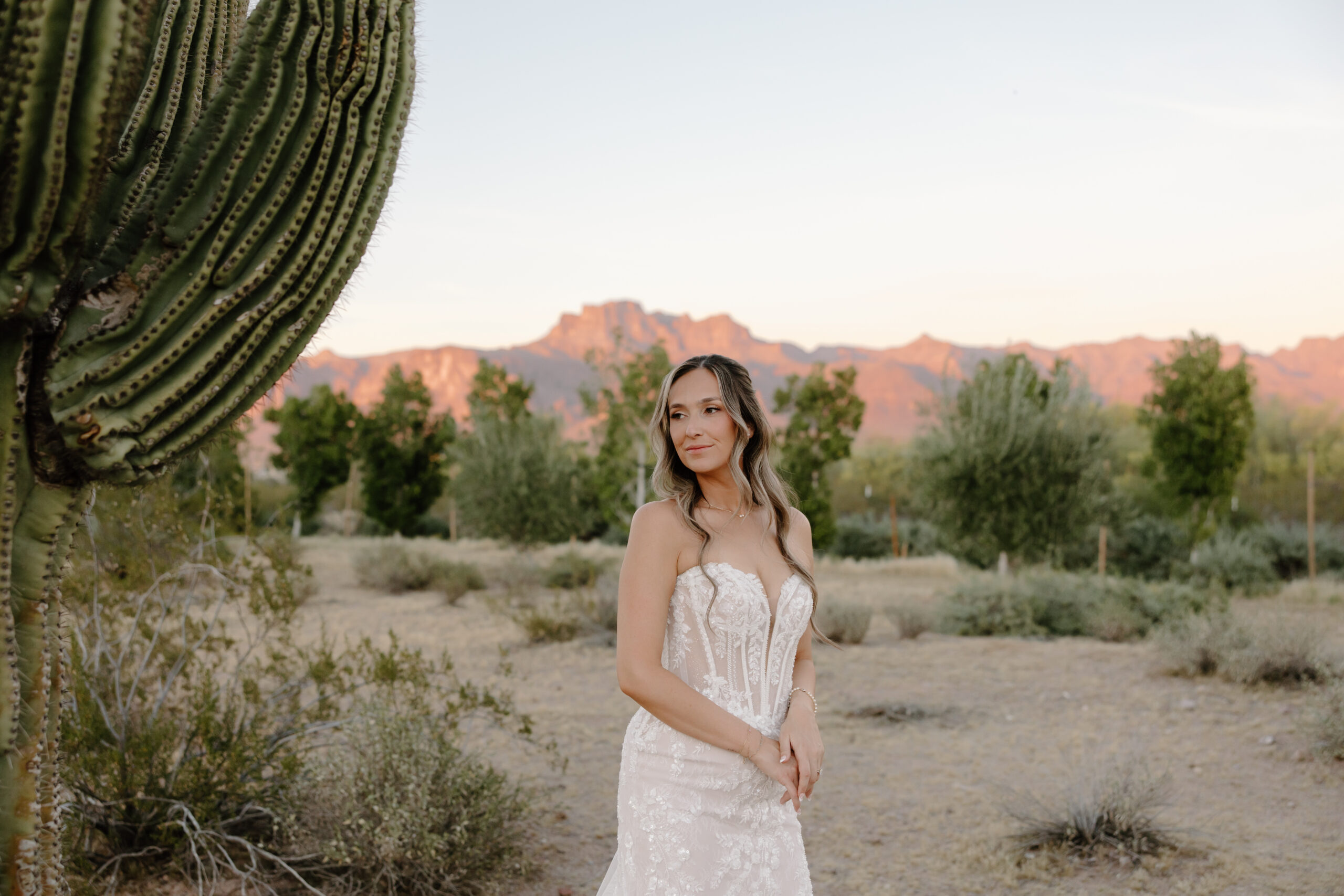 Bride standing in the Arizona desert in her lace wedding dress with glowing mountains behind her, a scenic portrait by an Arizona wedding photographer.